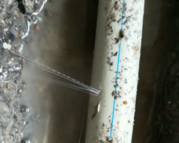 斗门卫生间测漏水多少钱